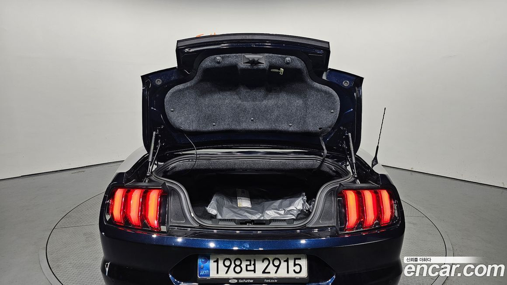 Ford Mustang GT Convertible (05.2021)
