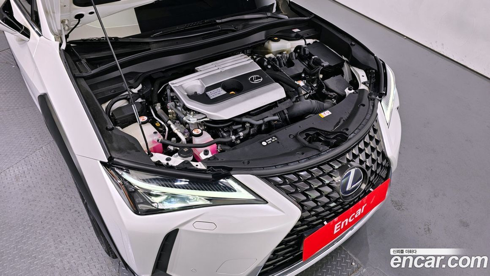 Lexus UX250h 2.0 2WD (08.2019)