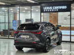 Lexus NX350h 2 Generation Premium (08.2023)