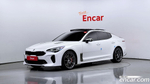 Kia Stinger Meister 3.3 GT AWD MASTER Turbo 패키지 (05.2021)