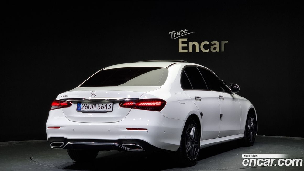 Mercedes-Benz E-Class W213 E250 AMG Line (04.2023)