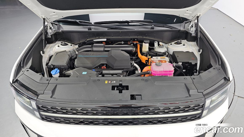 Hyundai Santa Fe (MX5) HEV 1.6 2WD (01.2024)
