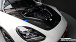Porsche Panamera (971) 2.9 AWD Platinum Editions (08.2023)