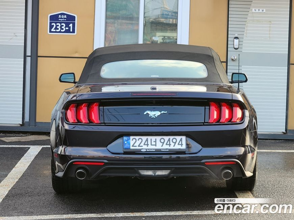 Ford Mustang Convertible (10.2022)
