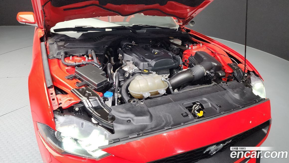 Ford Mustang Convertible (04.2021)