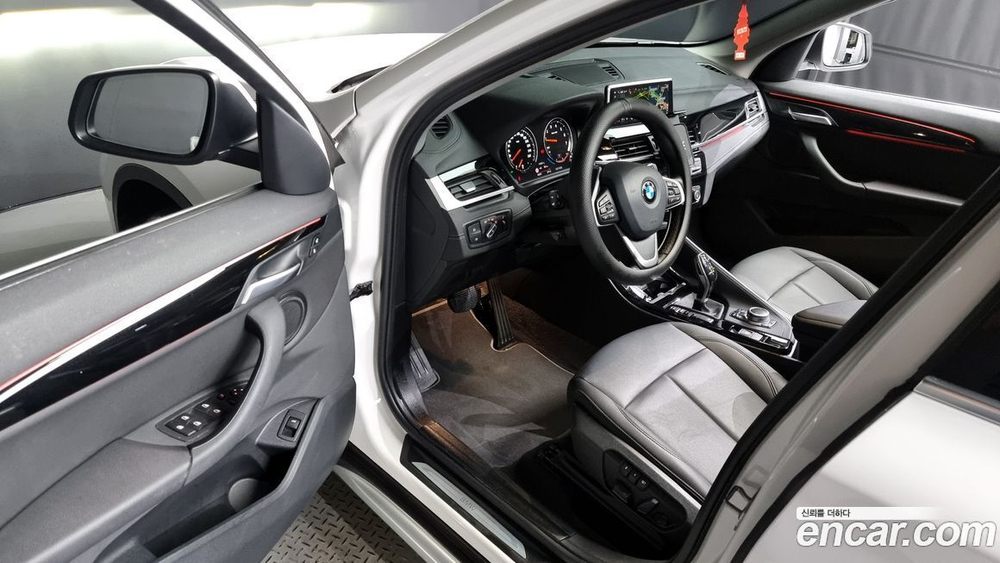 BMW X1 (F48) xDrive 20i xLine (10.2021)