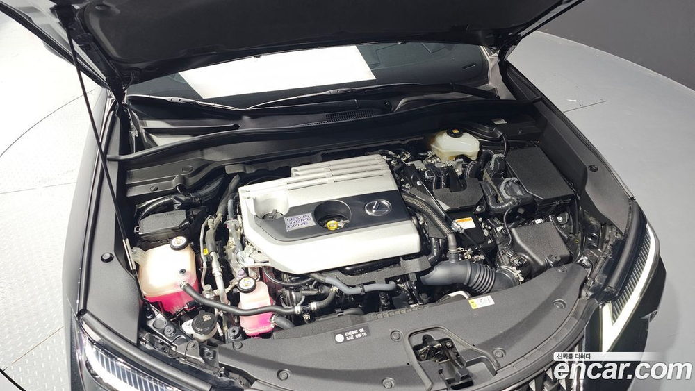 Lexus UX250h 2.0 2WD (10.2019)