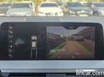 BMW X4 (G02) xDrive20d M Sports (08.2019)