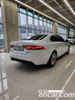 Jaguar XF (X260) 20d Portfolio AWD (10.2019)
