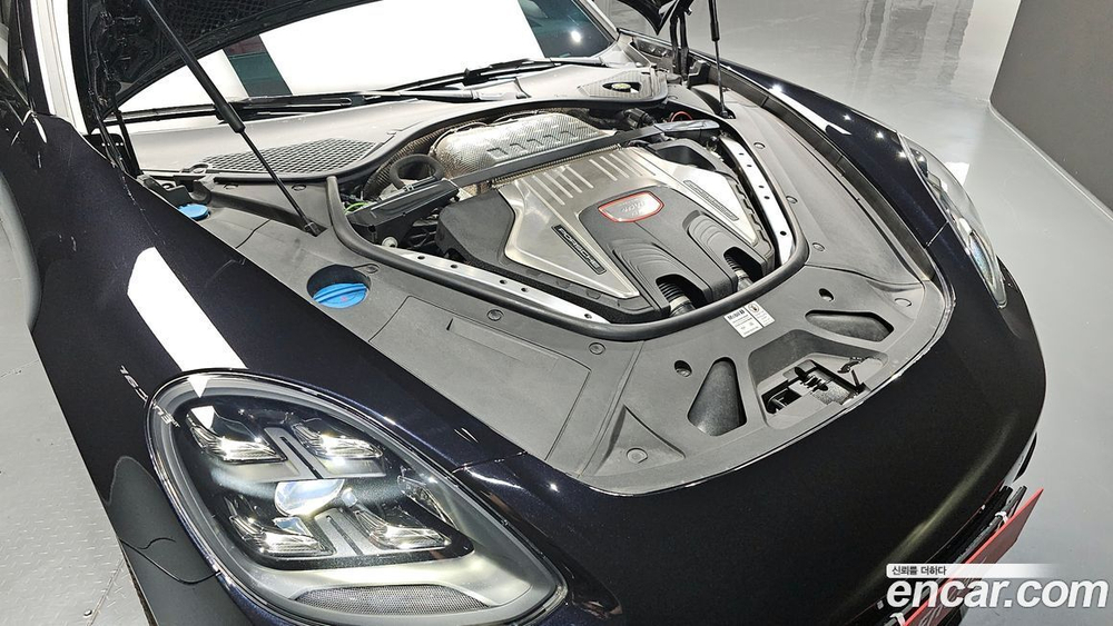 Porsche Panamera (971) 4.0 GTS (03.2020)