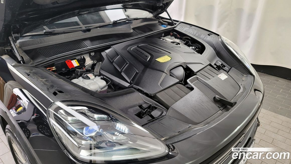 Porsche Cayenne (PO536) 3.0 Platinum Editions (10.2022)