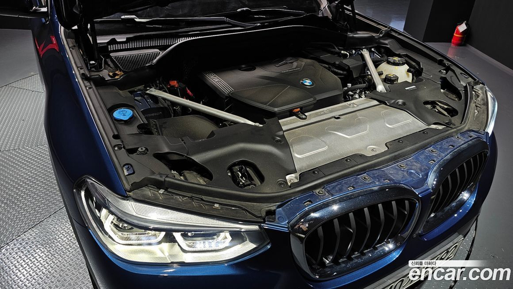 BMW X4 (G02) xDrive20i M Sports X (01.2021)