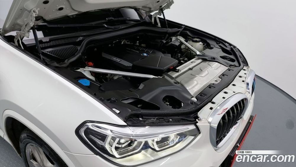 BMW X4 (G02) xDrive20d M Sports (11.2019)