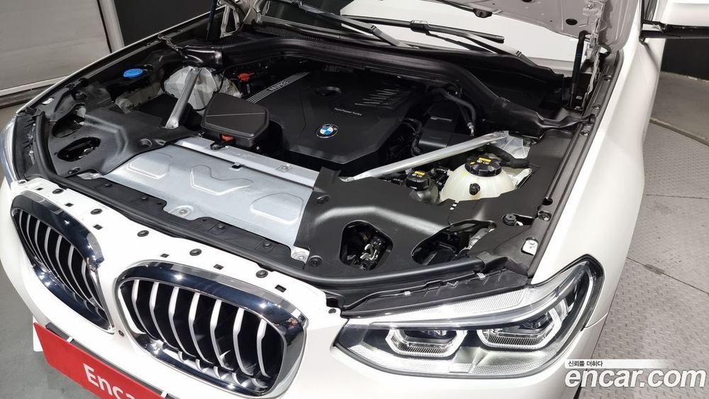 BMW X4 (G02) xDrive20i xLine (03.2021)