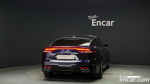 Kia Stinger Meister 2.5 Platinum (01.2021)
