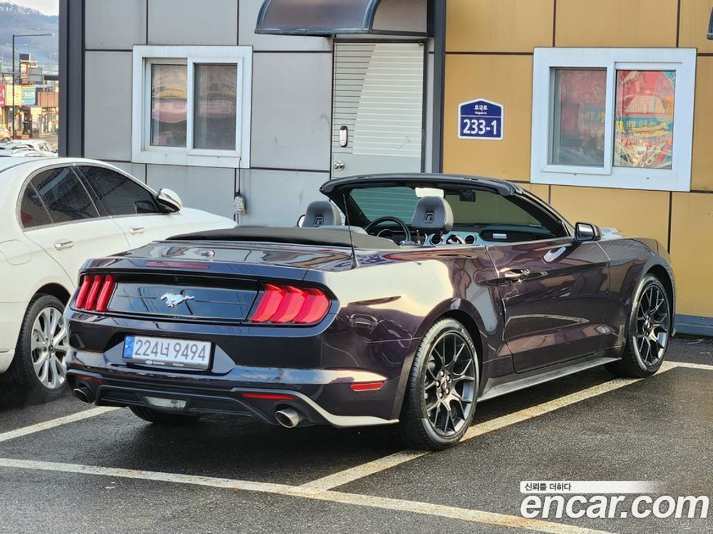 Ford Mustang Convertible (10.2022)