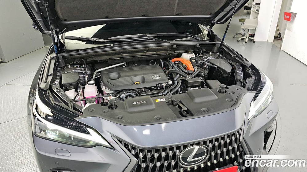 Lexus NX350h 2 Generation Premium (01.2024)