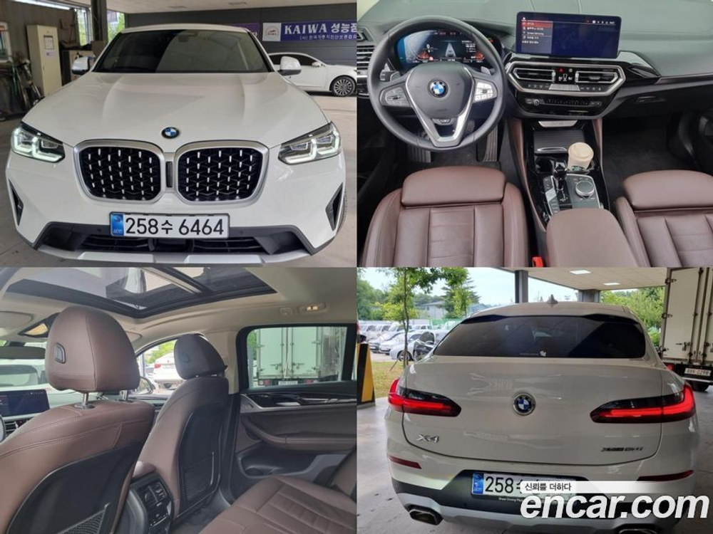 BMW X4 (G02) xDrive20i xLine (03.2022)