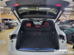 Porsche Cayenne (PO536) 3.0 E-Hybrid (06.2020)