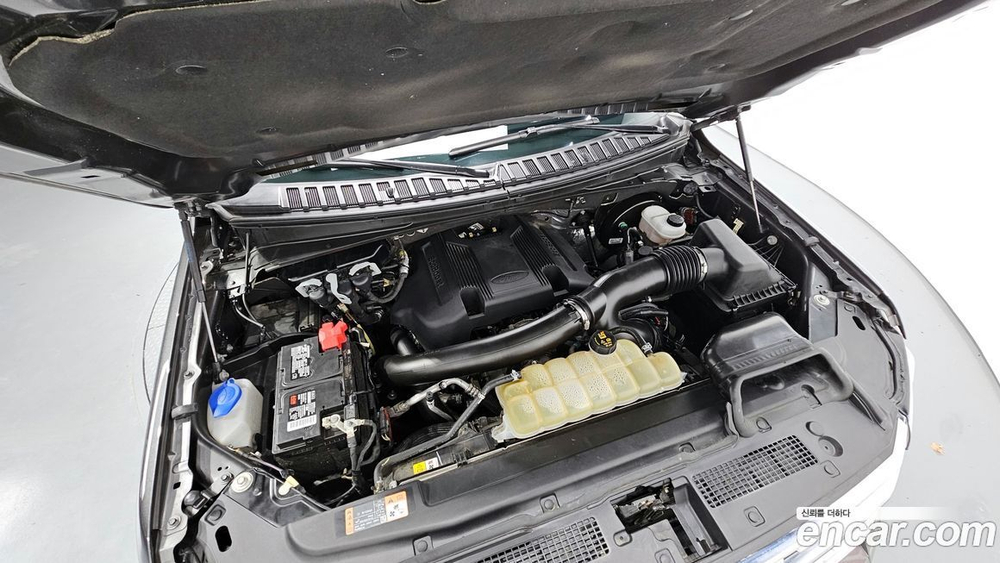 Ford Expedition Platinum 4WD (05.2021)