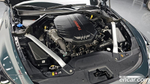 Kia Stinger Meister 3.3 GT 아크로 Editions (01.2022)