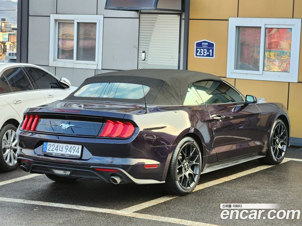 Ford Mustang Convertible (10.2022)