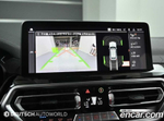 BMW X4 (G02) xDrive20i xLine (01.2023)