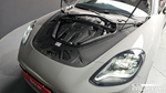 Porsche Panamera (971) 2.9 AWD Platinum Editions (04.2023)