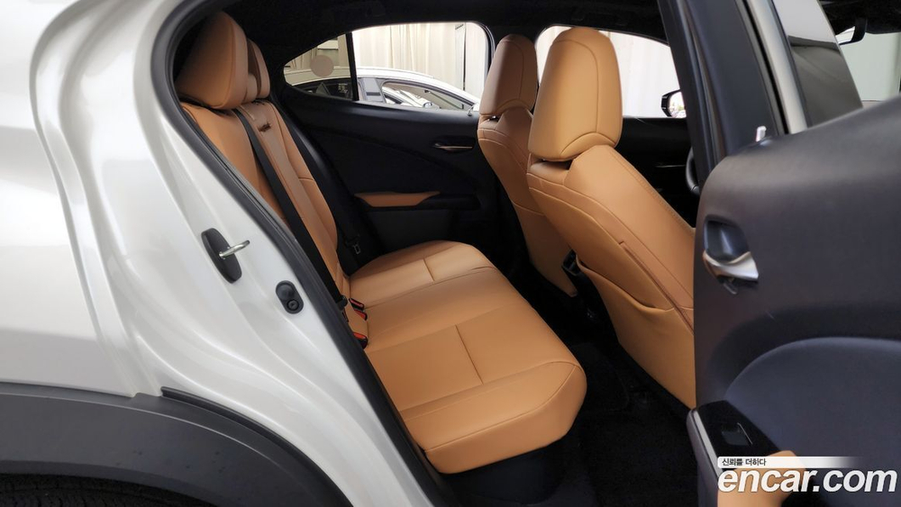 Lexus UX250h 2.0 2WD (02.2023)