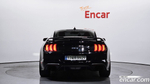Ford Mustang GT Coupe (08.2021)