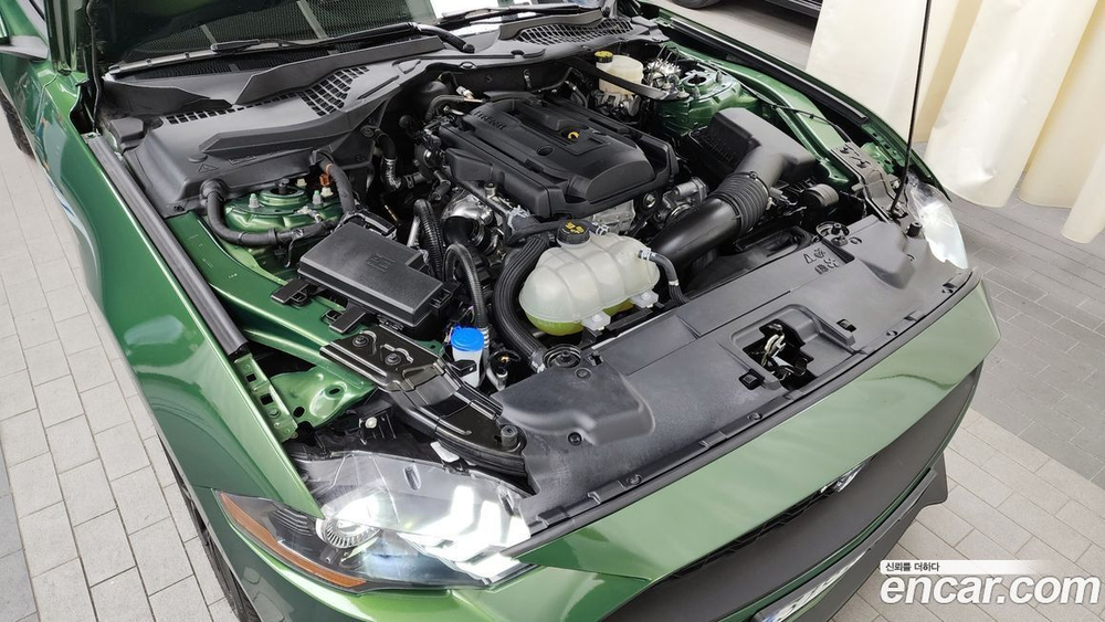 Ford Mustang Coupe (09.2022)