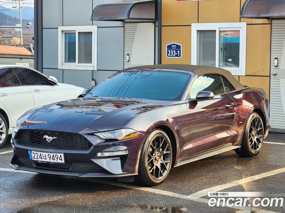 Ford Mustang Convertible (10.2022)