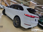 Porsche Cayenne (PO536) 3.0 E-Hybrid (06.2020)