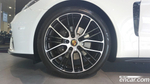 Porsche Panamera (971) 2.9 AWD Platinum Editions (08.2022)