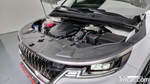 Kia Carnival (Sedona) 4 Generation 9-и местный Noblesse (11.2022)