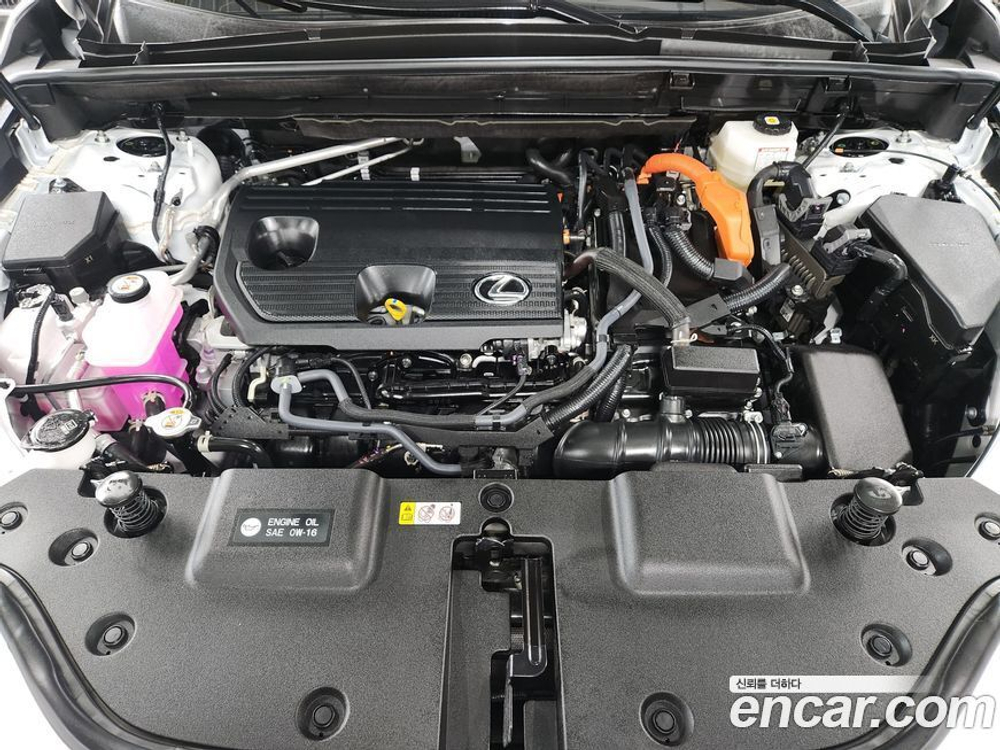 Lexus NX350h 2 Generation Premium (08.2023)