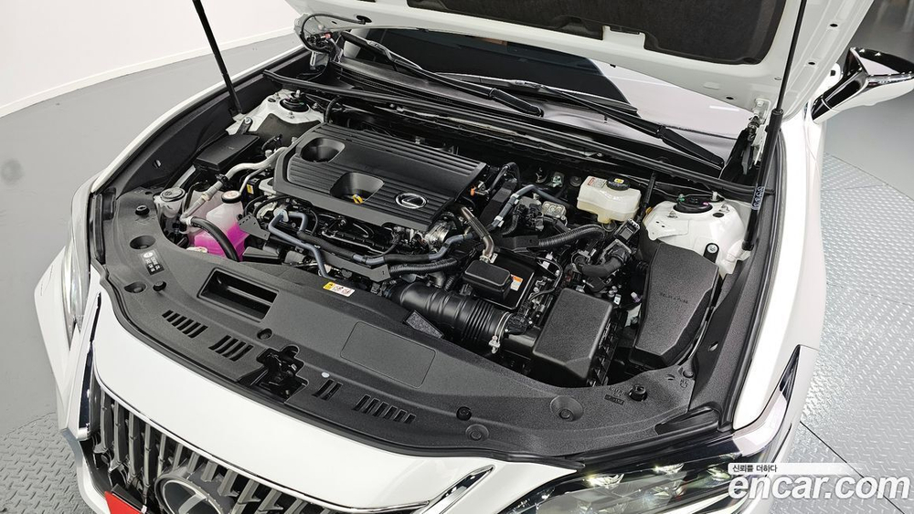 Lexus ES300h 7 Generation Executive (11.2023)