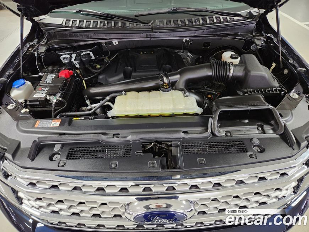 Ford Expedition Platinum 4WD (04.2021)