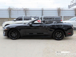 Ford Mustang Convertible (11.2021)