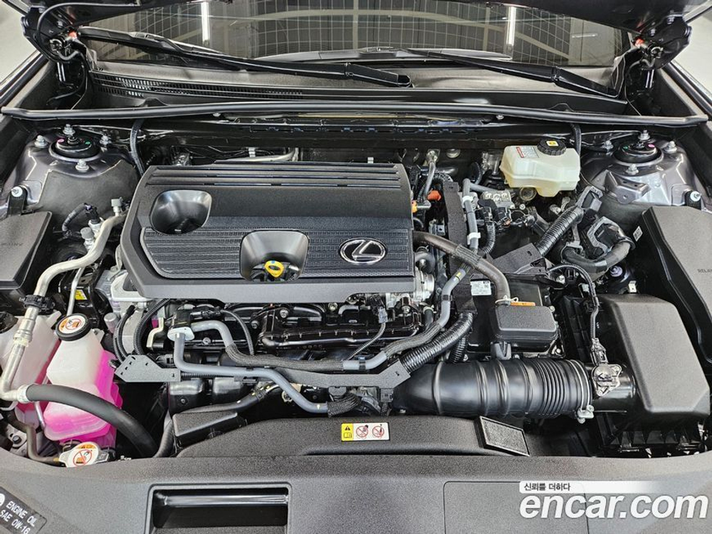 Lexus ES300h 7 Generation Executive (10.2021)