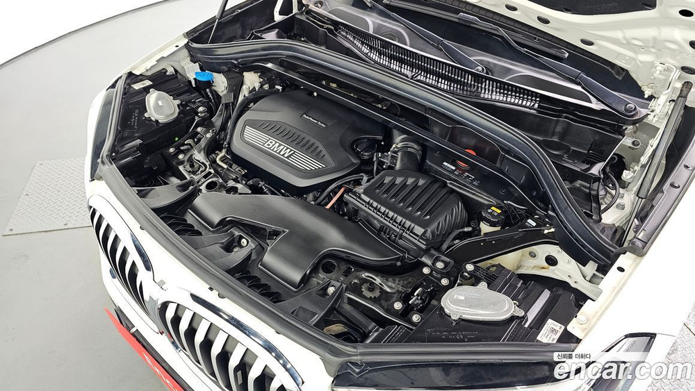 BMW X1 (F48) xDrive 18d xLine (10.2020)