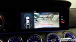 Mercedes-Benz CLS-Class C257 CLS300d 4MATIC (05.2022)