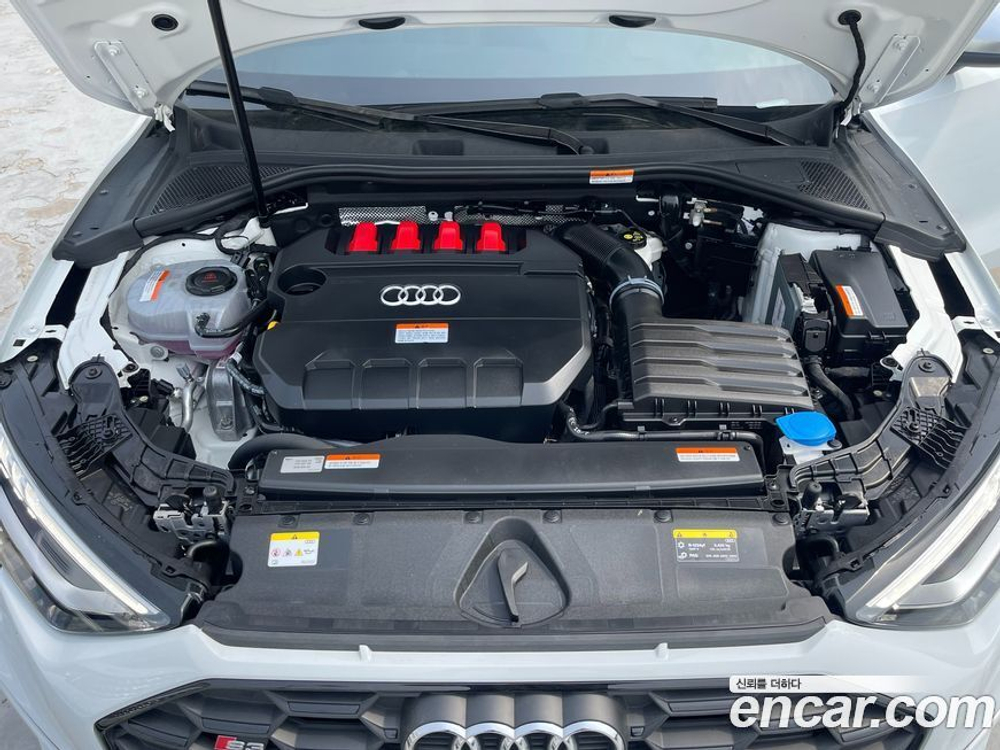 Audi S3 (8Y) 2.0 TFSI Quattro (10.2023)