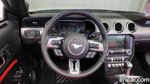 Ford Mustang Convertible (11.2022)