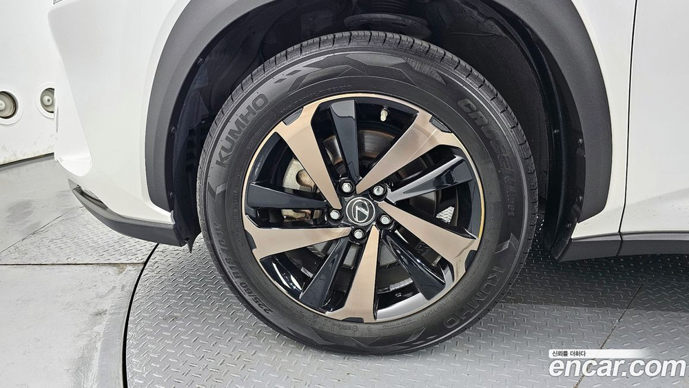 Lexus NX300h Executive (01.2020)
