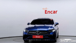 Mercedes-Benz CLS-Class C257 CLS300d 4MATIC (04.2022)