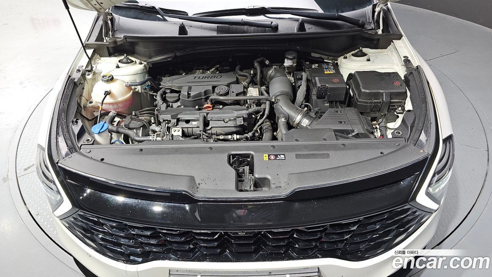 Kia Sportage 5 Generation Бензин 1.6 Turbo 2WD (11.2021)