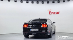 Ford Mustang Coupe (09.2022)