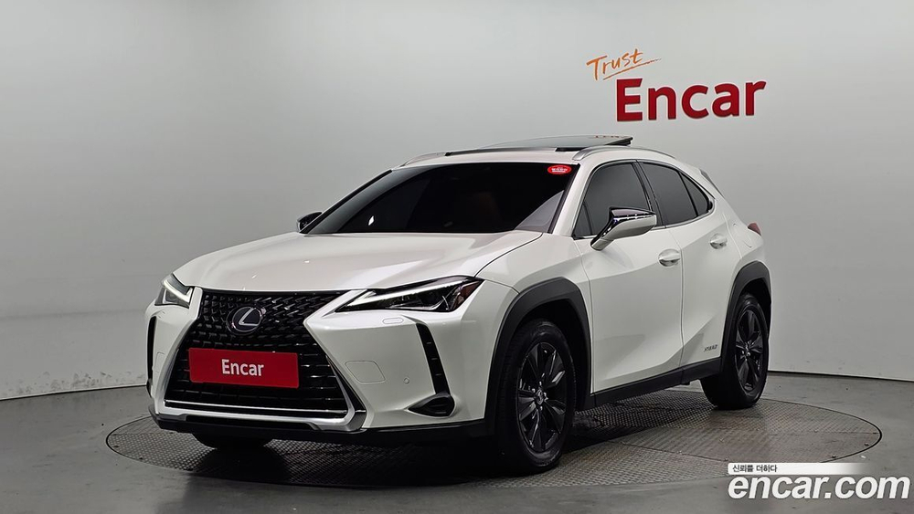 Lexus UX250h 2.0 2WD (12.2019)