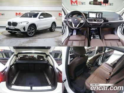 BMW X4 (G02) xDrive20i xLine (02.2023)